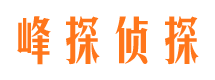 巢湖市婚外情调查